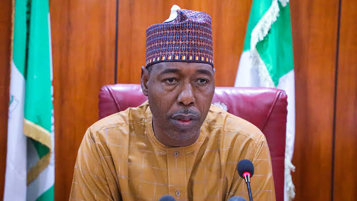 Borno Govt invests over N89 billion in maternal and child health